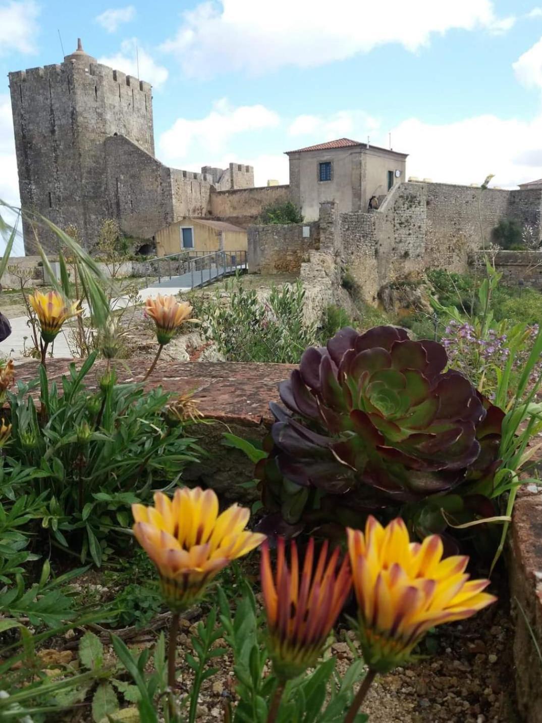 Villa Arrabida بالميلا المظهر الخارجي الصورة